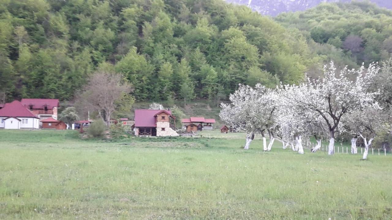 Campsite Camp &apartmens Scepanovic