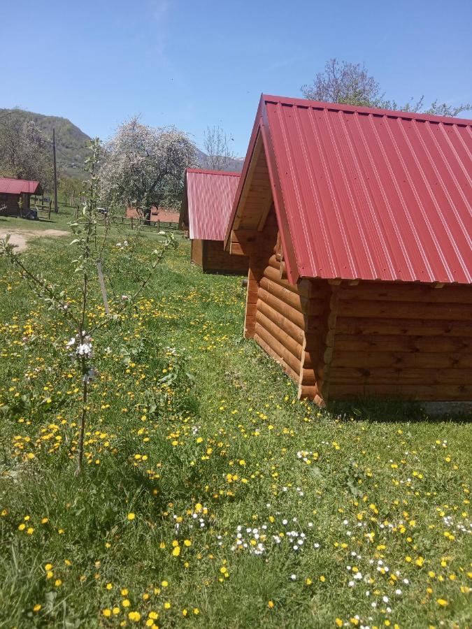 Campeggio Camp &apartmens Scepanovic *