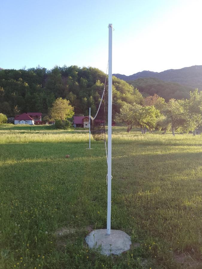 Camp &apartmens Scepanovic Campsite