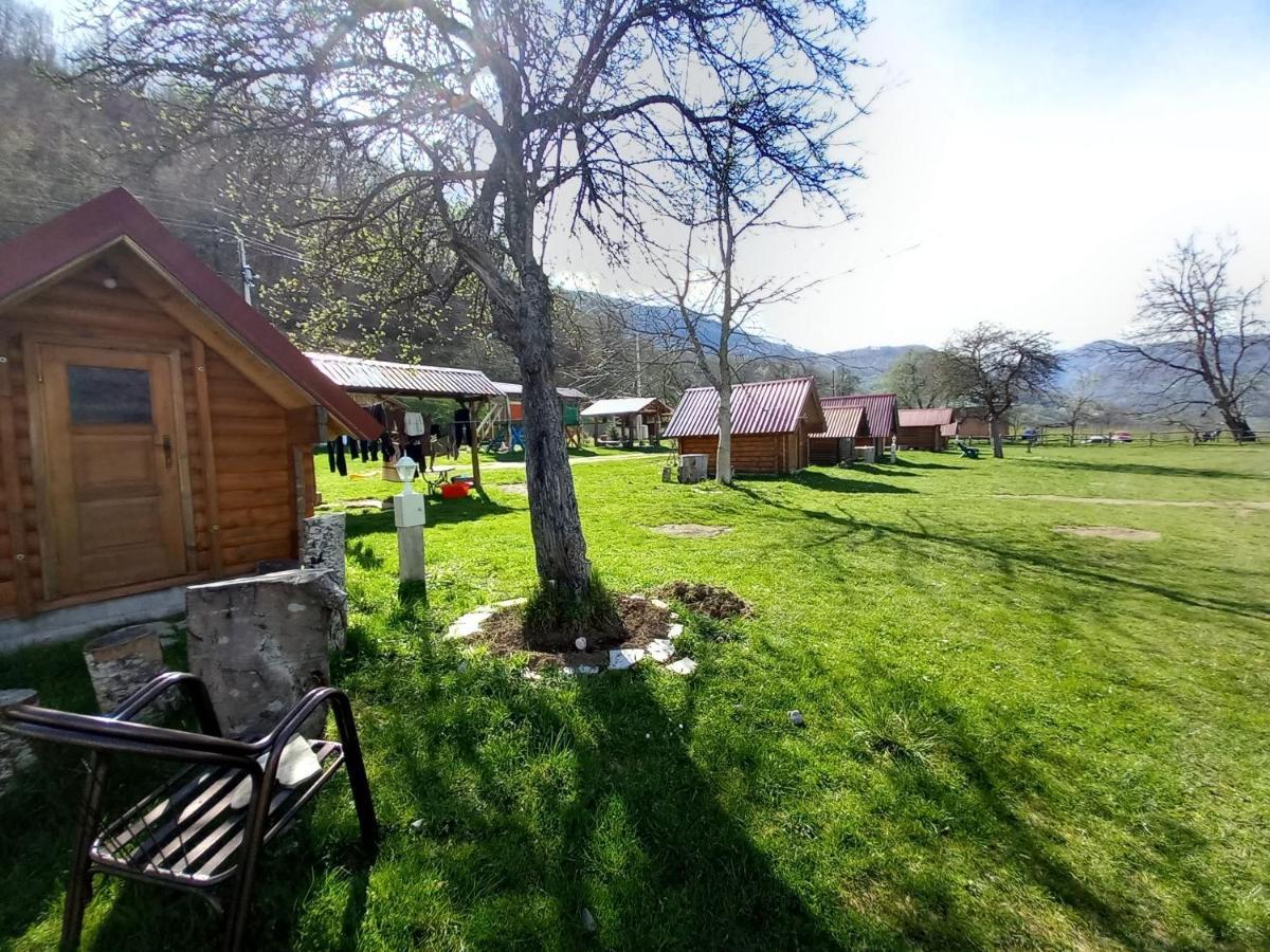 Camp &apartmens Scepanovic Campeggio