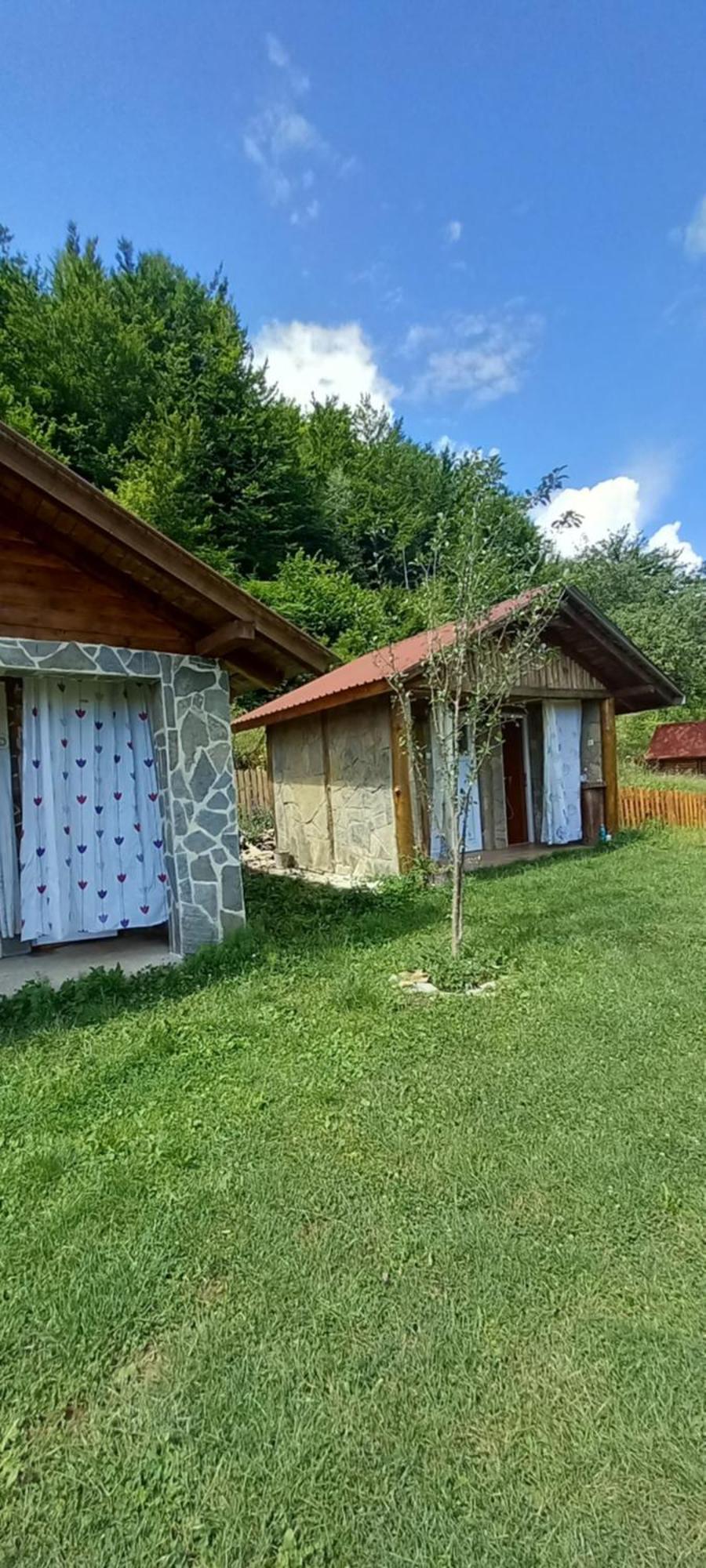 Camp &apartmens Scepanovic