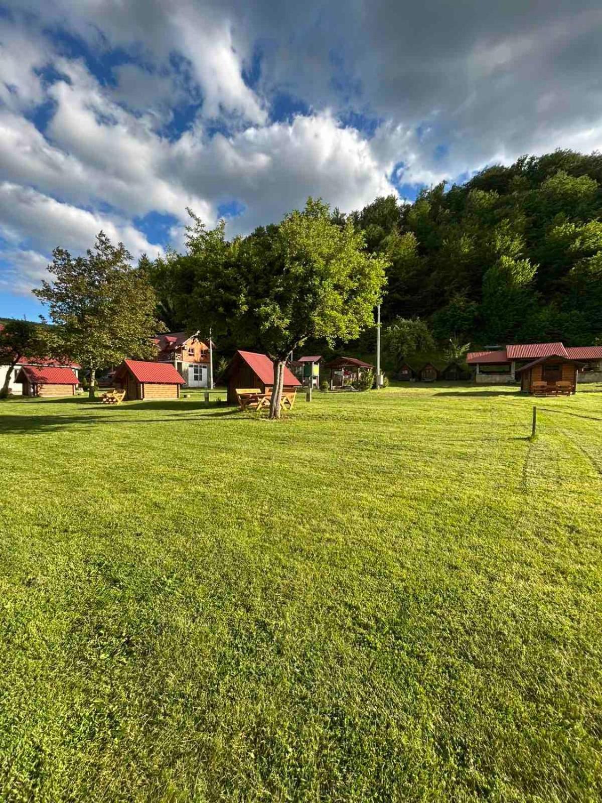 Camp &apartmens Scepanovic Campsite *