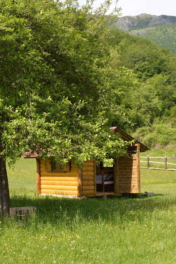 Campsite Camp &apartmens Scepanovic Mojkovac