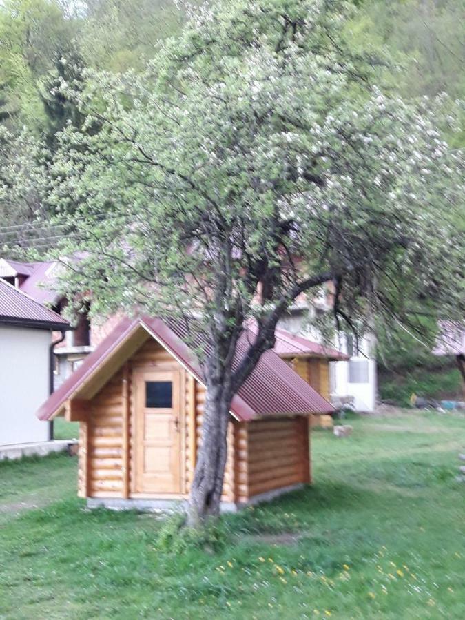 Camp &apartmens Scepanovic *